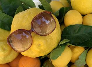 Amalfi lemon, featuring sunglasses