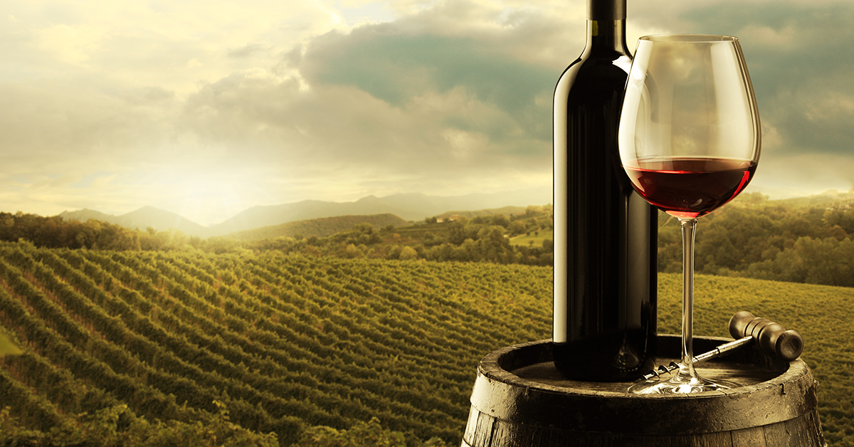 Wine overlooking a vineyard