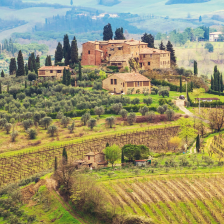 Tuscany Grand Tour: Siena, San Gimignano, Chianti and Pisa from Florence
