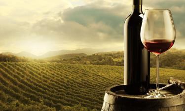 Wine overlooking a vineyard